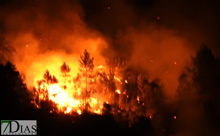 Imágenes desde el corazón del incendio de Portugal