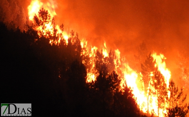 El Infoex incrementa los medios de apoyo a la extinción del incendio de Portugal