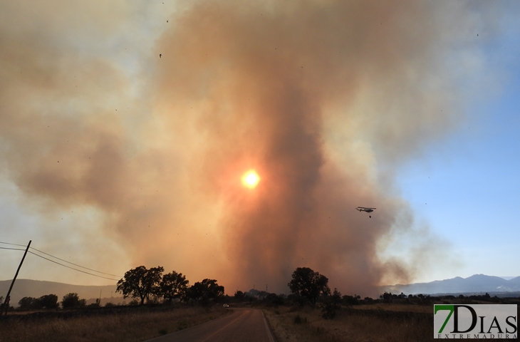 Nuevas imágenes sobre el terreno del incendio de Portugal