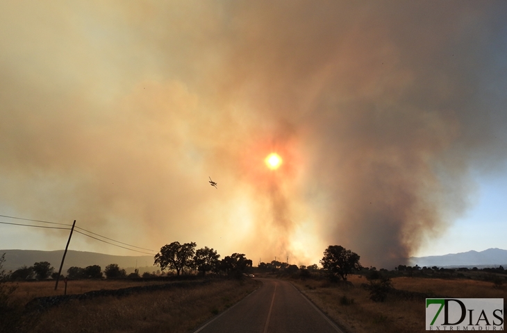 Nuevas imágenes sobre el terreno del incendio de Portugal