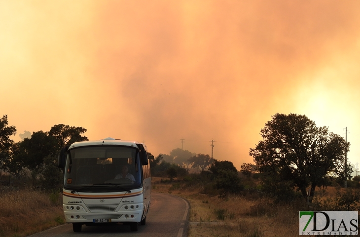 Nuevas imágenes sobre el terreno del incendio de Portugal