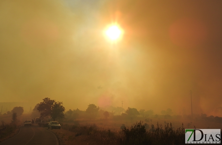 Nuevas imágenes sobre el terreno del incendio de Portugal