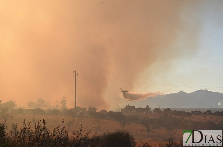 Nuevas imágenes sobre el terreno del incendio de Portugal