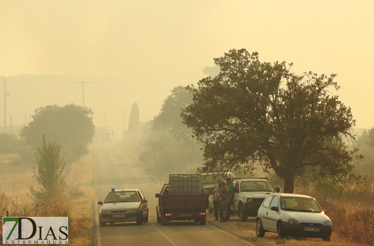 Nuevas imágenes sobre el terreno del incendio de Portugal