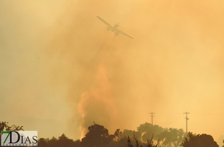 Nuevas imágenes sobre el terreno del incendio de Portugal