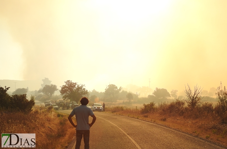 Nuevas imágenes sobre el terreno del incendio de Portugal