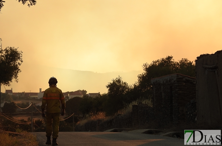 Nuevas imágenes sobre el terreno del incendio de Portugal