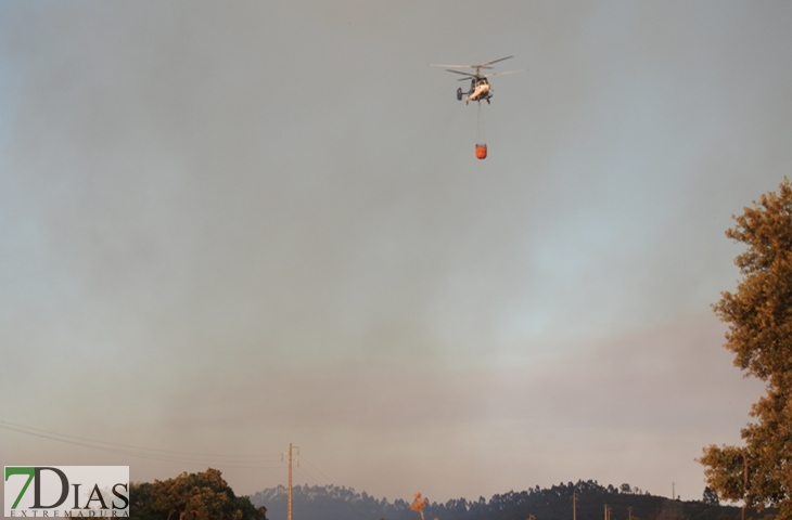 Nuevas imágenes sobre el terreno del incendio de Portugal