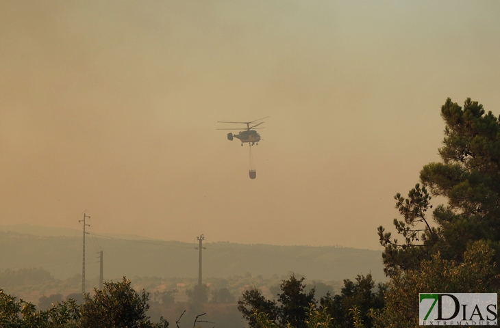 Nuevas imágenes sobre el terreno del incendio de Portugal