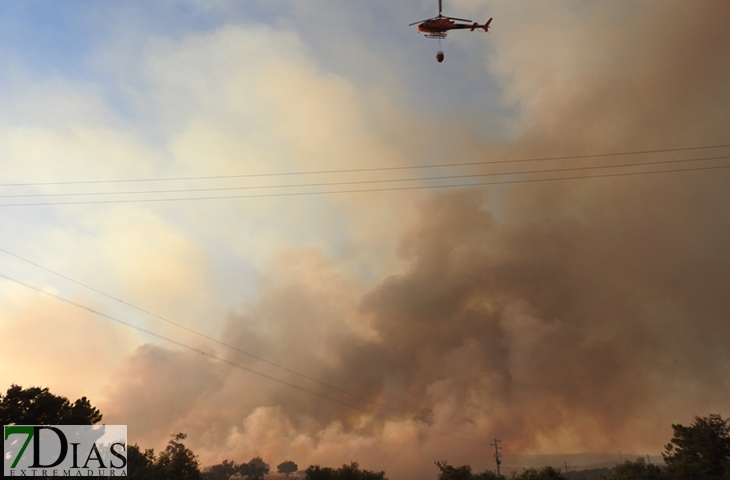 Nuevas imágenes sobre el terreno del incendio de Portugal