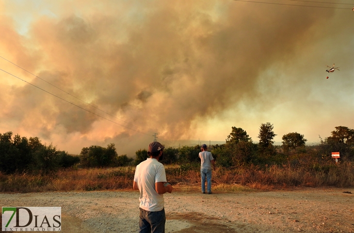 Nuevas imágenes sobre el terreno del incendio de Portugal