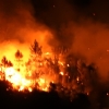 Imágenes desde el corazón del incendio de Portugal