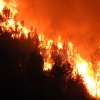 Imágenes desde el corazón del incendio de Portugal