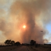 Nuevas imágenes sobre el terreno del incendio de Portugal