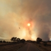 Nuevas imágenes sobre el terreno del incendio de Portugal