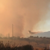 Nuevas imágenes sobre el terreno del incendio de Portugal