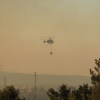 Nuevas imágenes sobre el terreno del incendio de Portugal