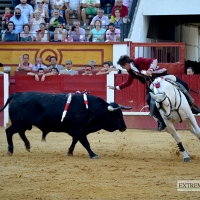 IU exige que los menores no puedan participar en festejos taurinos