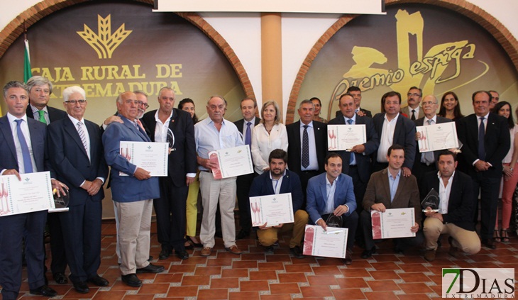 Caja Rural premia al mejor jamón y el mejor cava extremeño