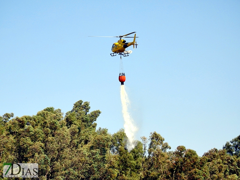 Incendio forestal en Balboa (Badajoz)