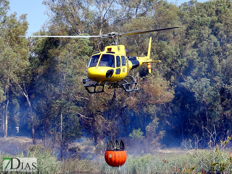 Incendio forestal en Balboa (Badajoz)