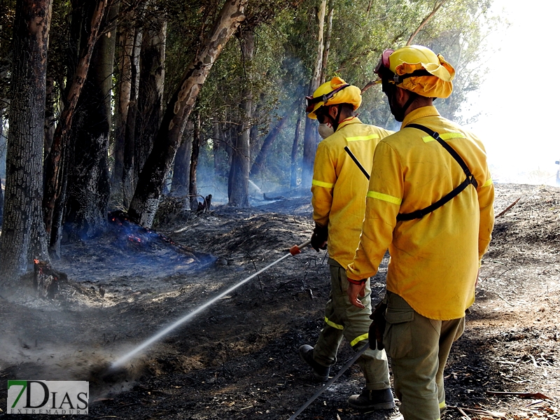 Incendio forestal en Balboa (Badajoz)