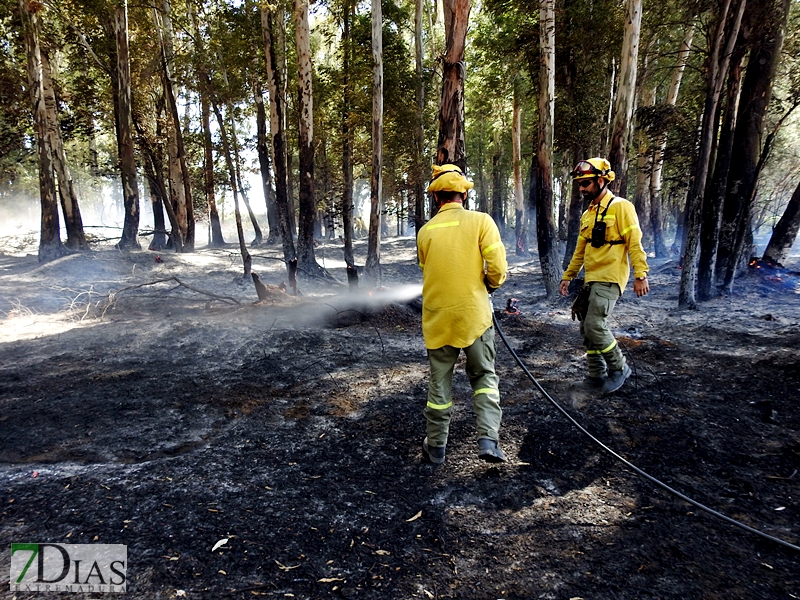 Incendio forestal en Balboa (Badajoz)