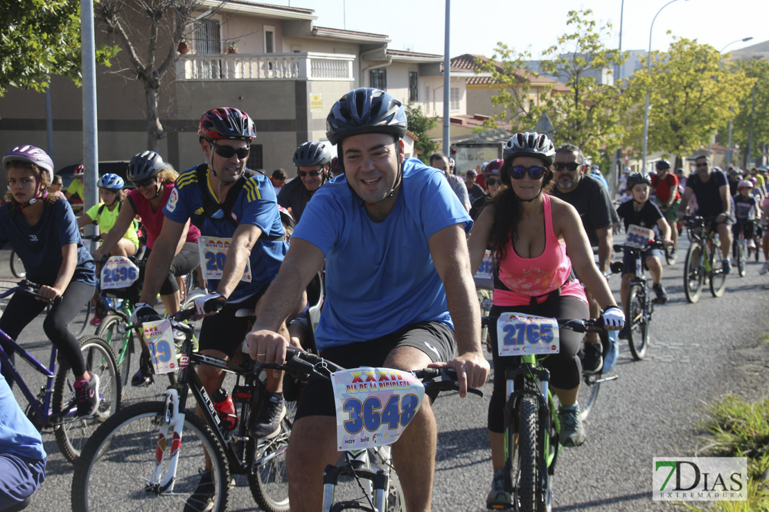 Imágenes del 32º Día de la Bicicleta II