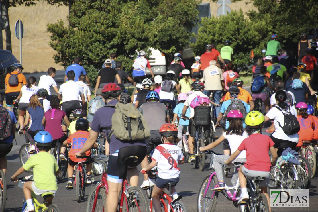 Imágenes del 32º Día de la Bicicleta II