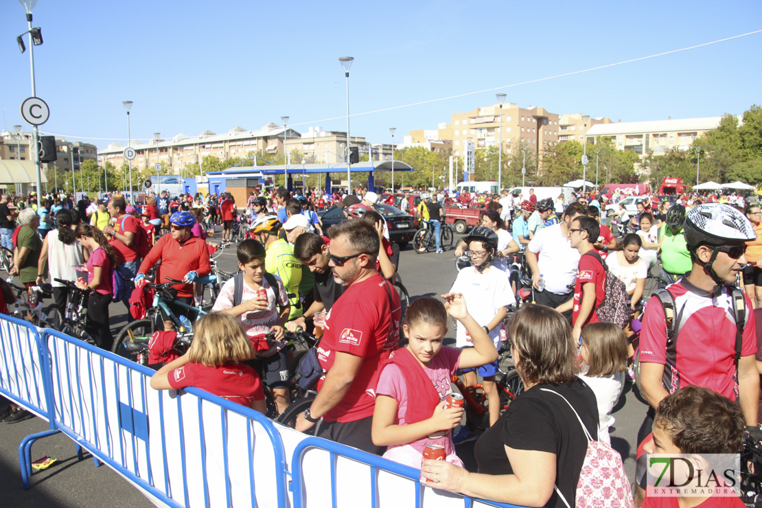 Imágenes del 32º Día de la Bicicleta III