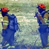 Incendio forestal en Balboa (Badajoz)