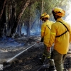 Incendio forestal en Balboa (Badajoz)