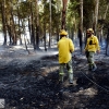 Incendio forestal en Balboa (Badajoz)