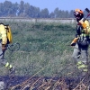 Incendio forestal en Balboa (Badajoz)