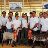 Celebrado el XII Concurso Nacional de Ganado Caprino en la Feria de Zafra