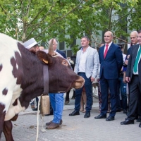 Vara Inaugura la 564 Feria de San Miguel de Zafra