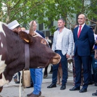 Vara Inaugura la 564 Feria de San Miguel de Zafra