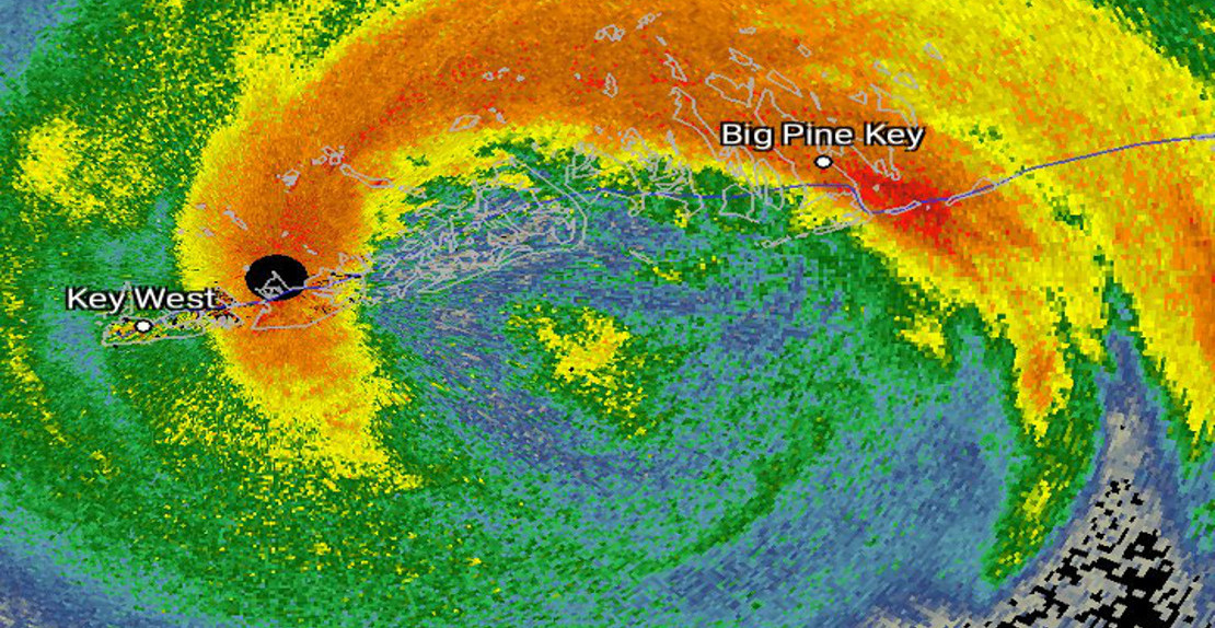 Grandes bandadas de aves buscaron refugio en el ojo del huracán IRMA en Florida