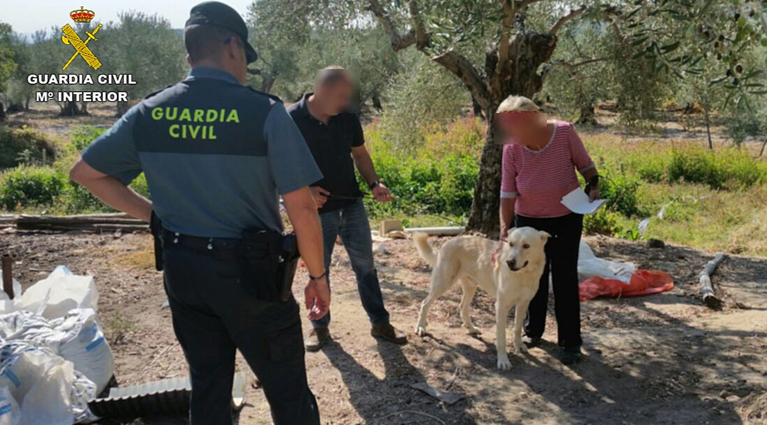 Operación contra el robo de perros en Extremadura