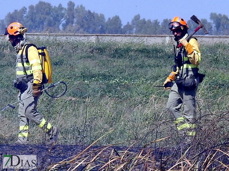 Incendio forestal en Balboa (Badajoz)