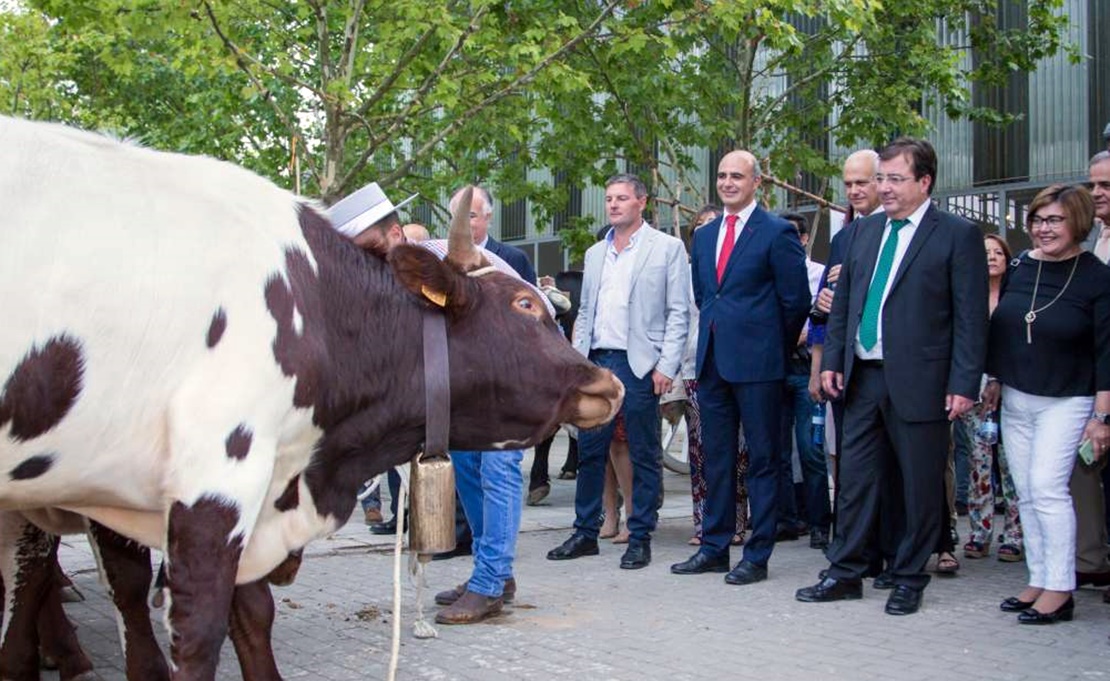 Vara Inaugura la 564 Feria de San Miguel de Zafra