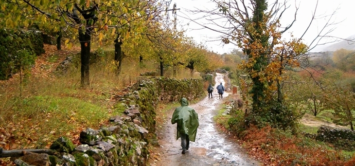 Sierra de Gata celebra el otoño con múltiples actividades