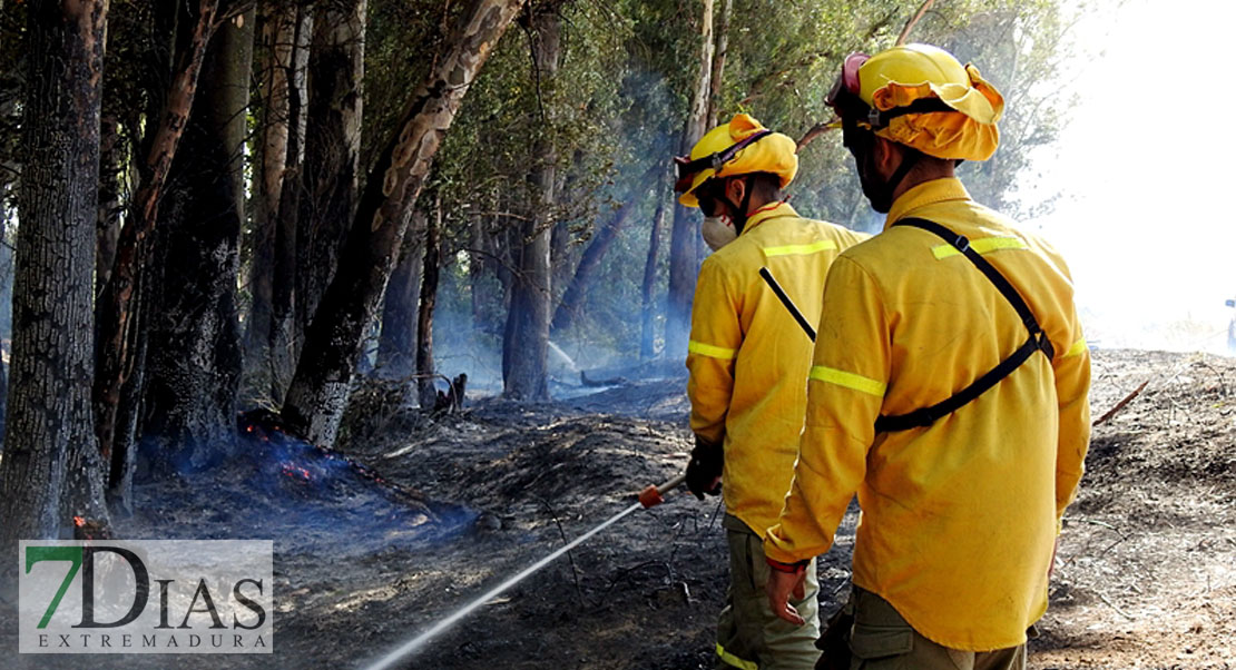 CCOO del INFOEX denuncia la pasividad de la Junta con los Bomberos Forestales