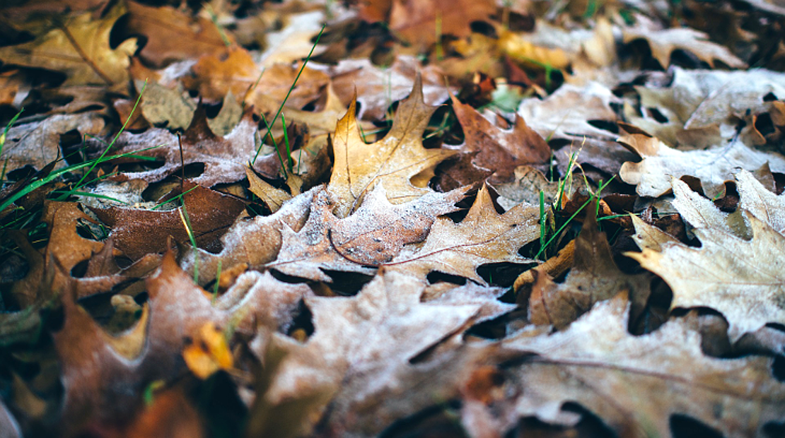 5 cambios más comunes en el tiempo durante el mes de octubre