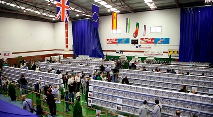 Gran ambiente en la II Internacional de Ornitología de Alburquerque