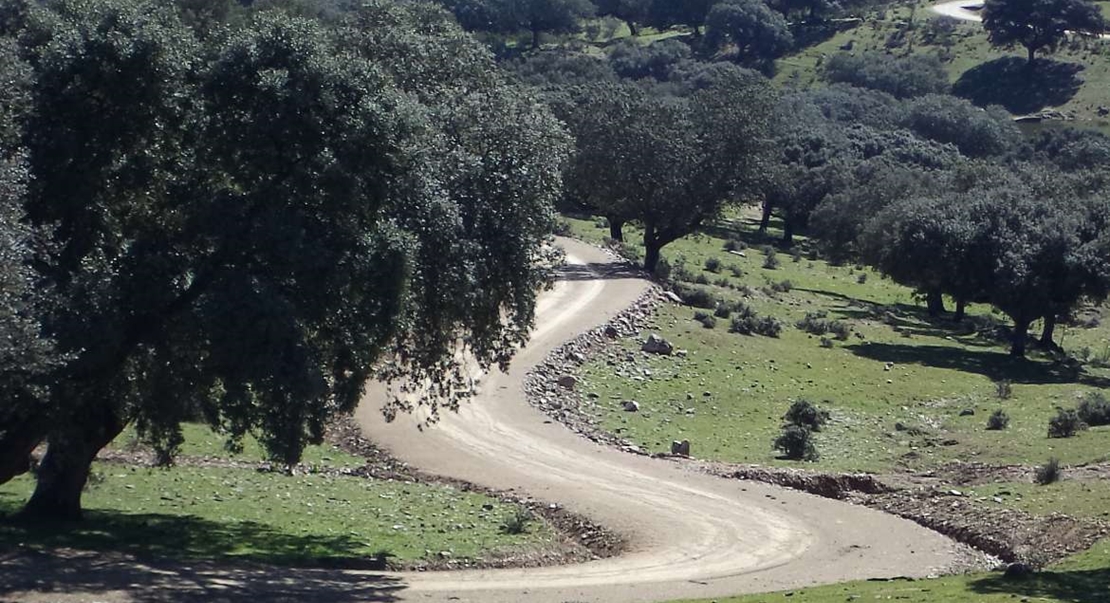 Obras en varios caminos rurales de Extremadura