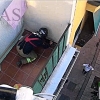 Los bomberos rescatan a un animal de una terraza en Badajoz