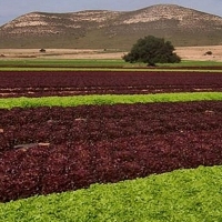 La transformación del proyecto de Tierra de Barros costará 197 millones