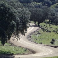 Obras en varios caminos rurales de Extremadura