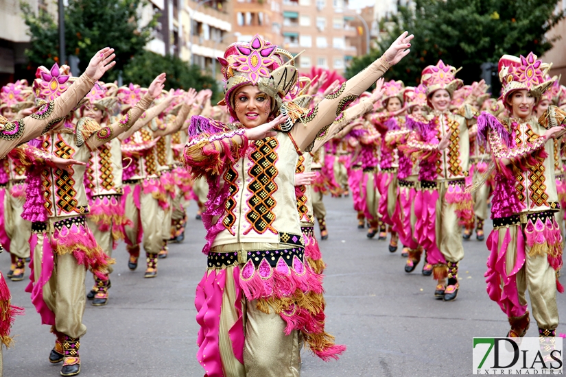 Imágenes del Desfile de Comparsas de Badajoz 2018, parte 1/2